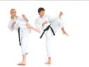 Swift Current Karate Club logo